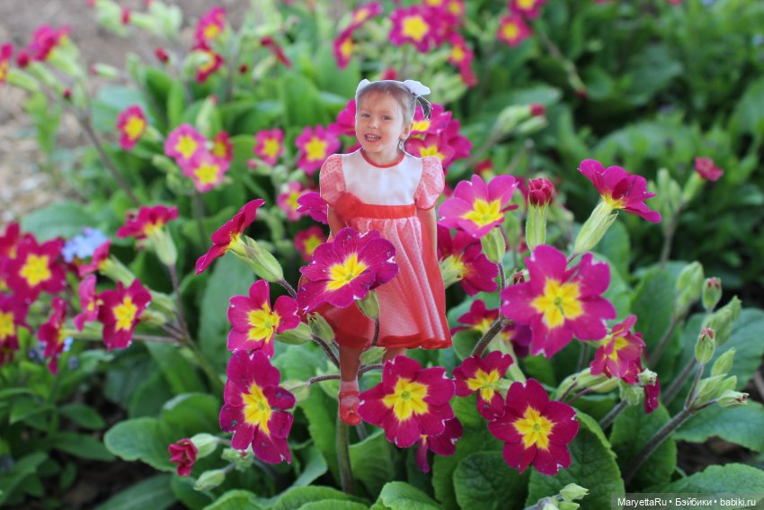 Как послать Фотошоп лесом