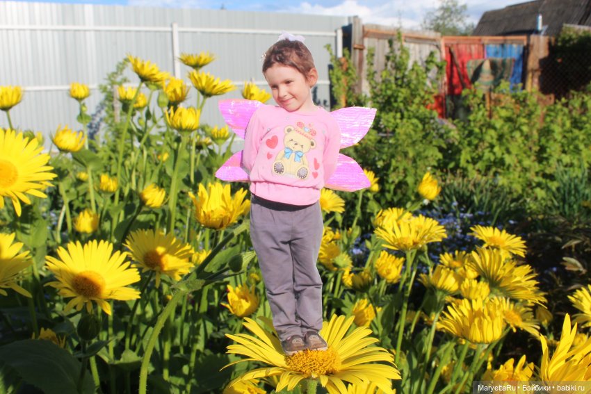 Как послать Фотошоп лесом (фото 7)