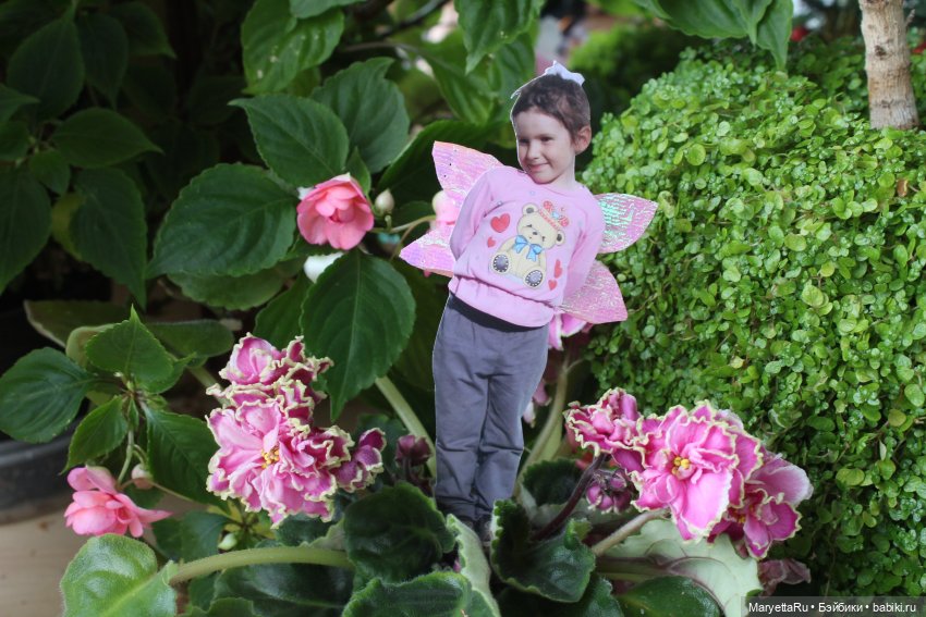 Как послать Фотошоп лесом