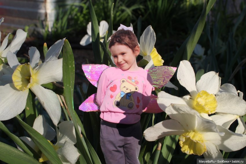 Как послать Фотошоп лесом