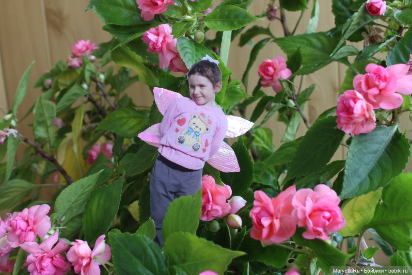 Как послать Фотошоп лесом (фото 5)