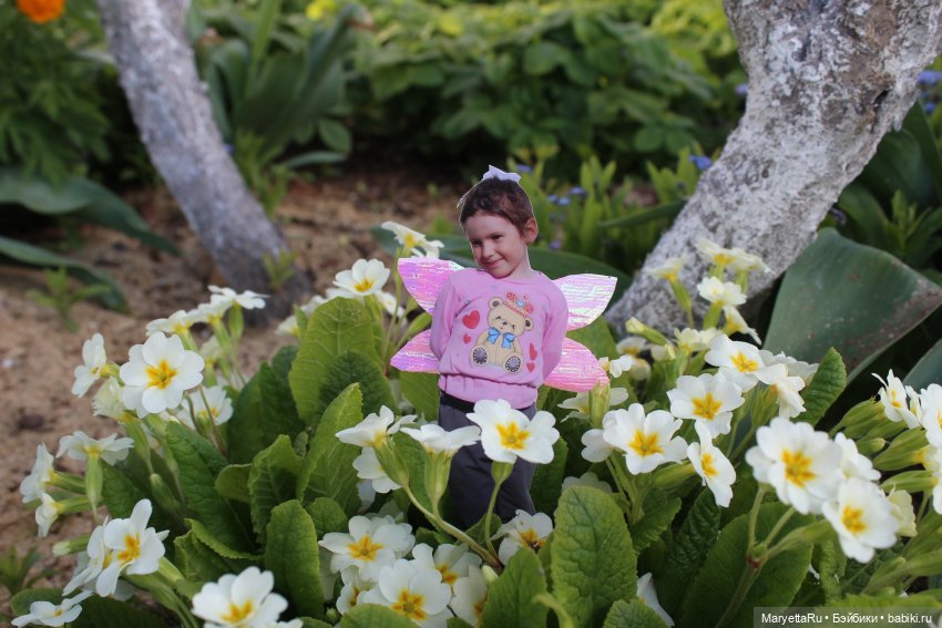 Как послать Фотошоп лесом