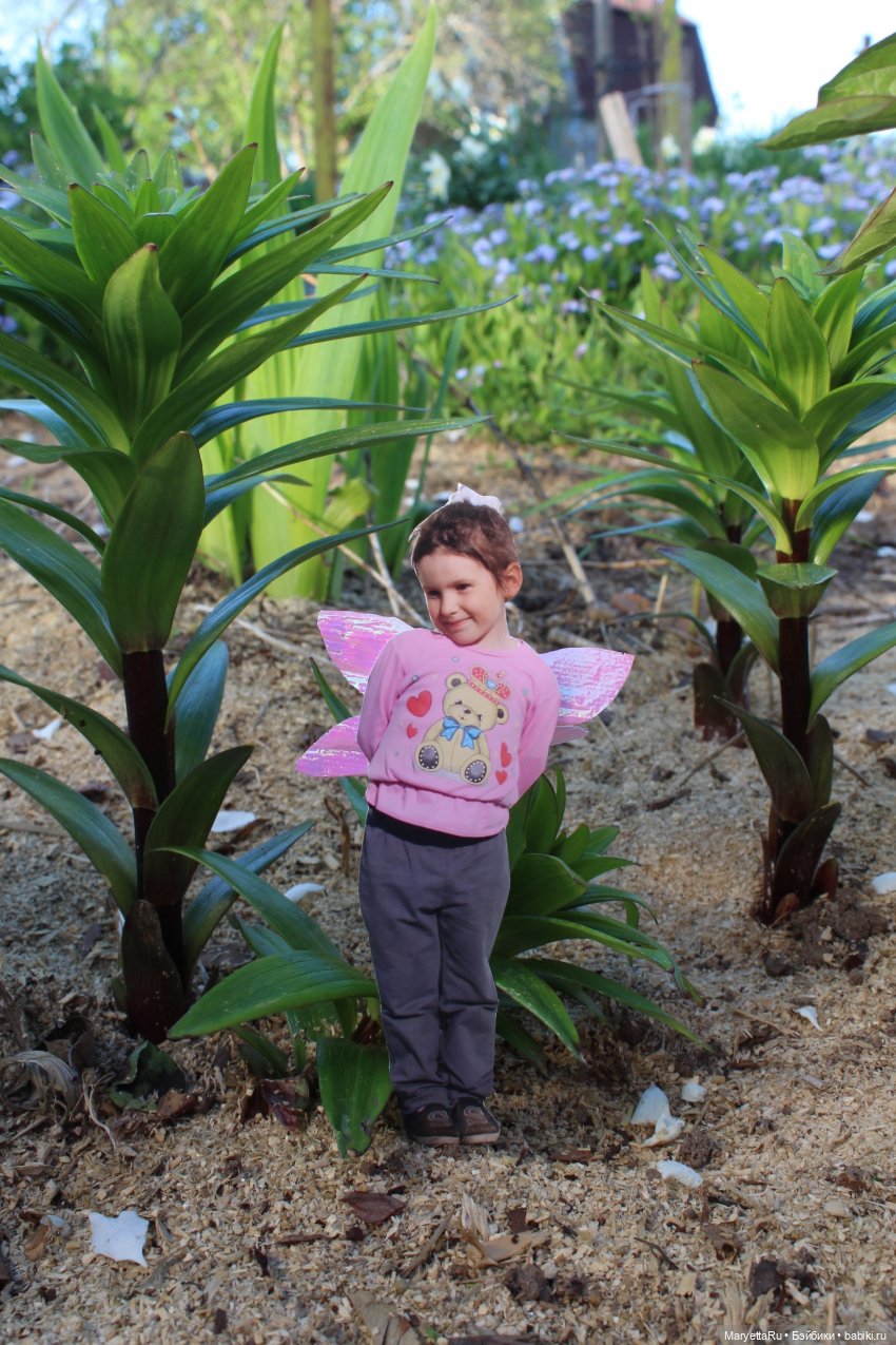 Как послать Фотошоп лесом