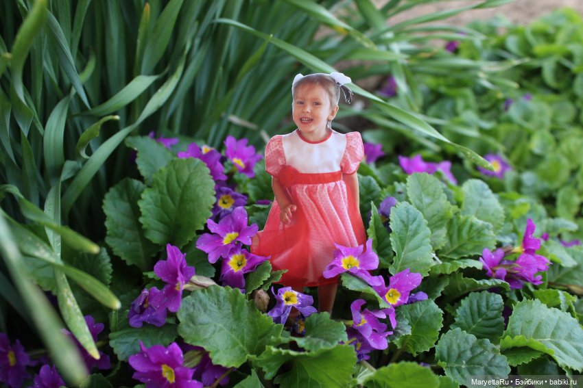 Как послать Фотошоп лесом