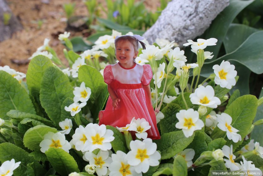 Как послать Фотошоп лесом