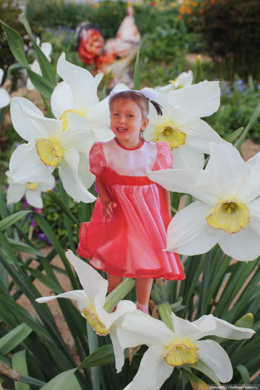 Как послать Фотошоп лесом