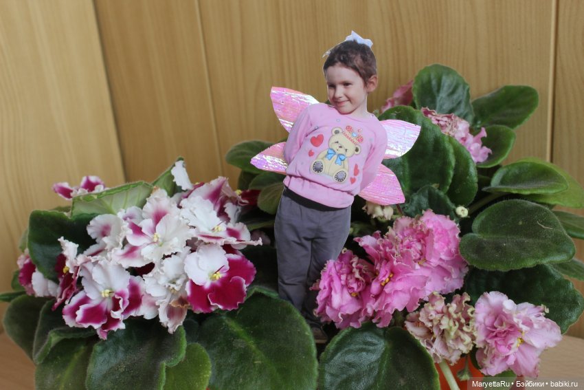 Как послать Фотошоп лесом