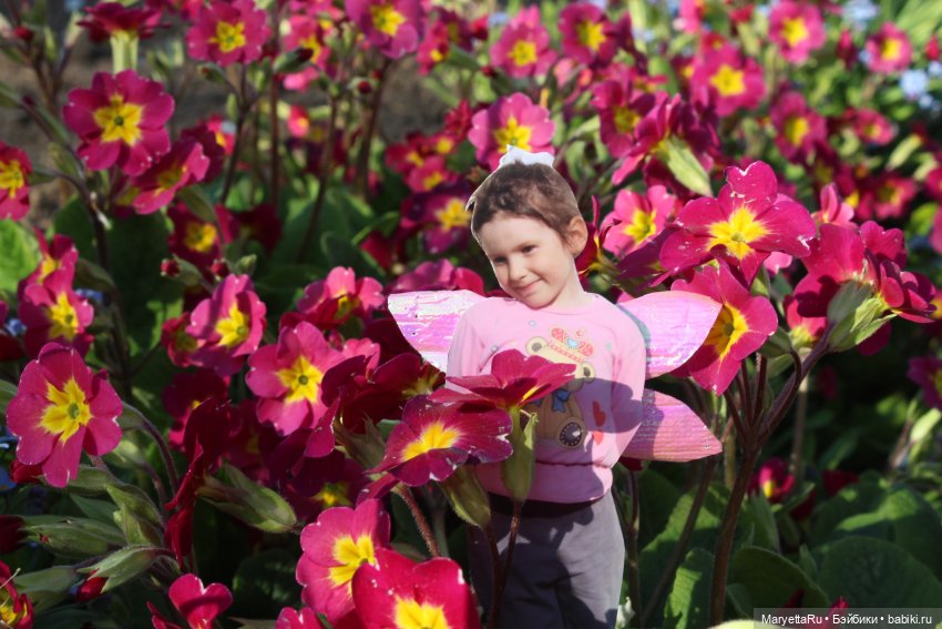 Как послать Фотошоп лесом