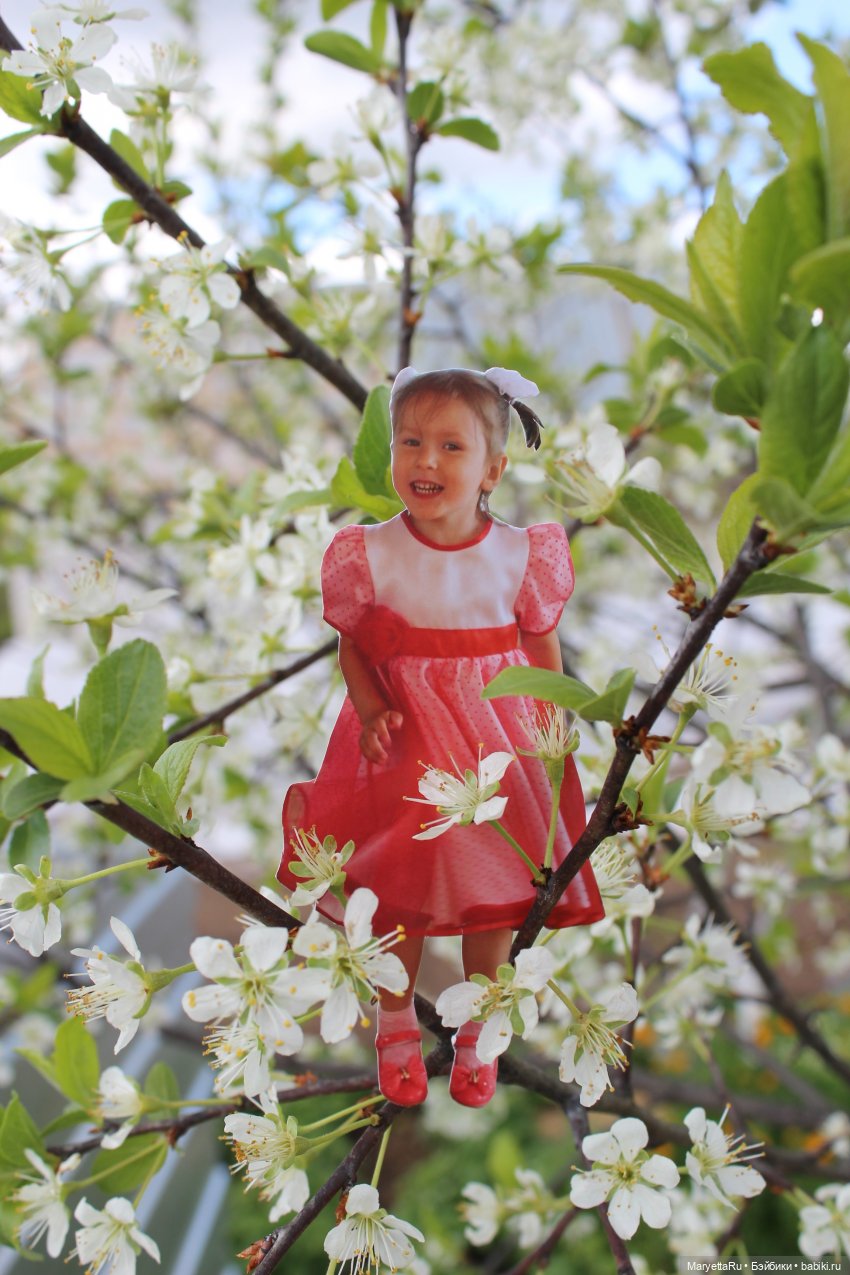 Как послать Фотошоп лесом