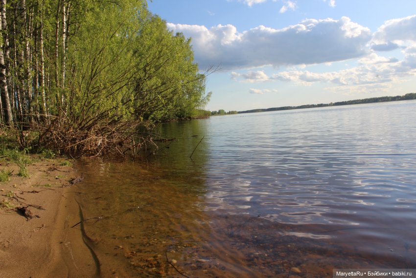 Сначала его звали Ньют Скамандер