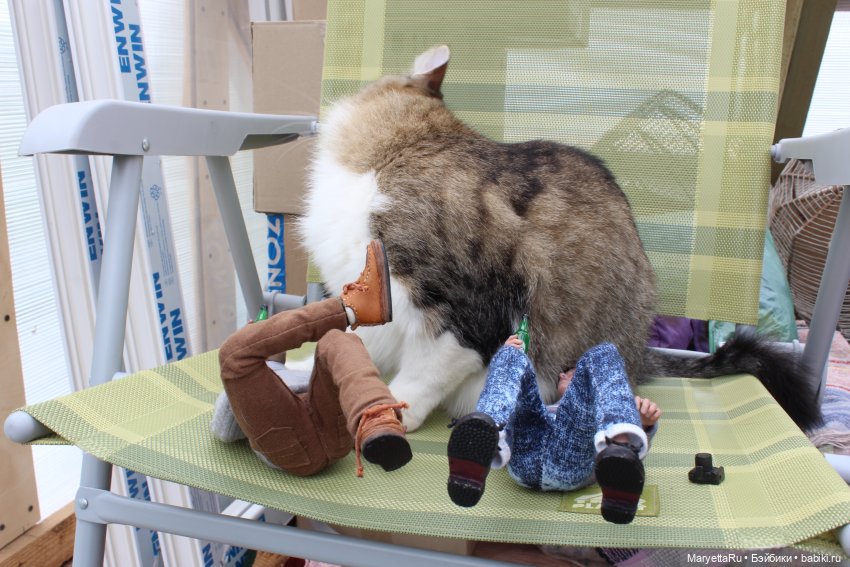 Сначала его звали Ньют Скамандер