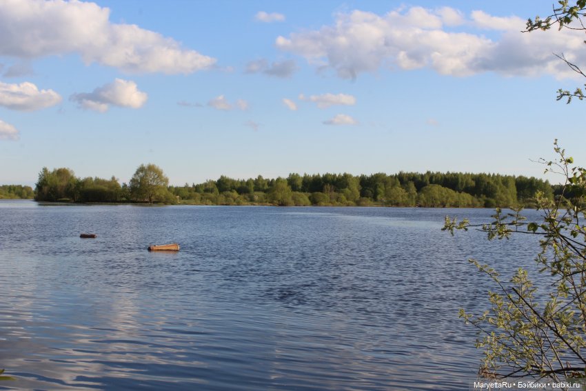 Сначала его звали Ньют Скамандер