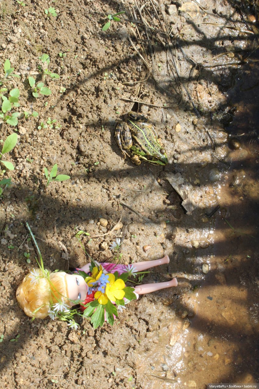 Сказочная свадьба — Проба пера: рассказы