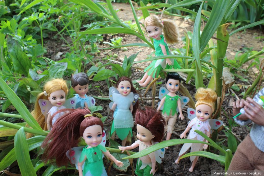 Брюс и феи. Прибавление в семействе (фото 9)