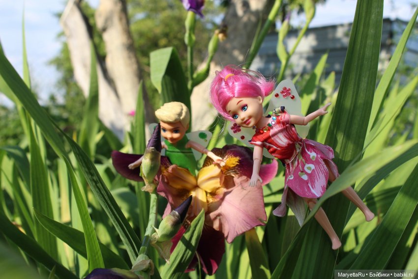 Брюс и феи. Два не пересекающихся мира