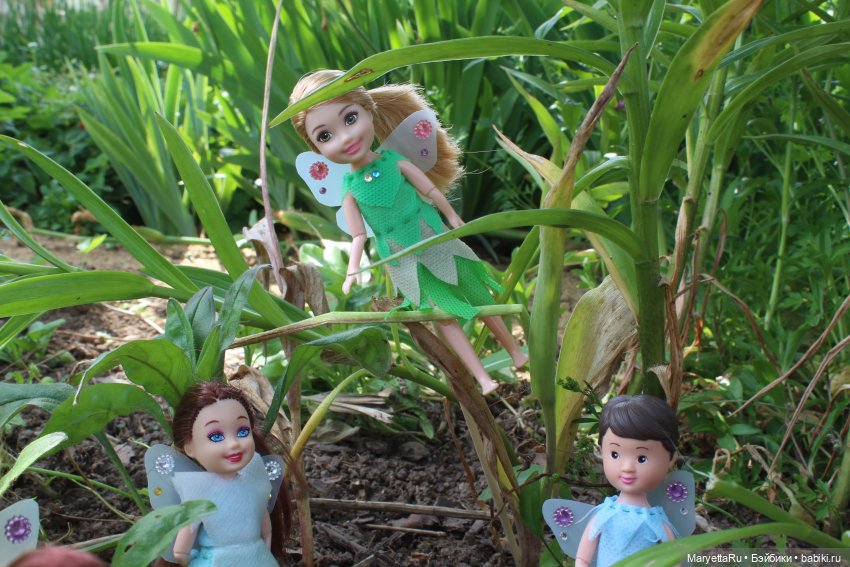 Брюс и феи. Прибавление в семействе