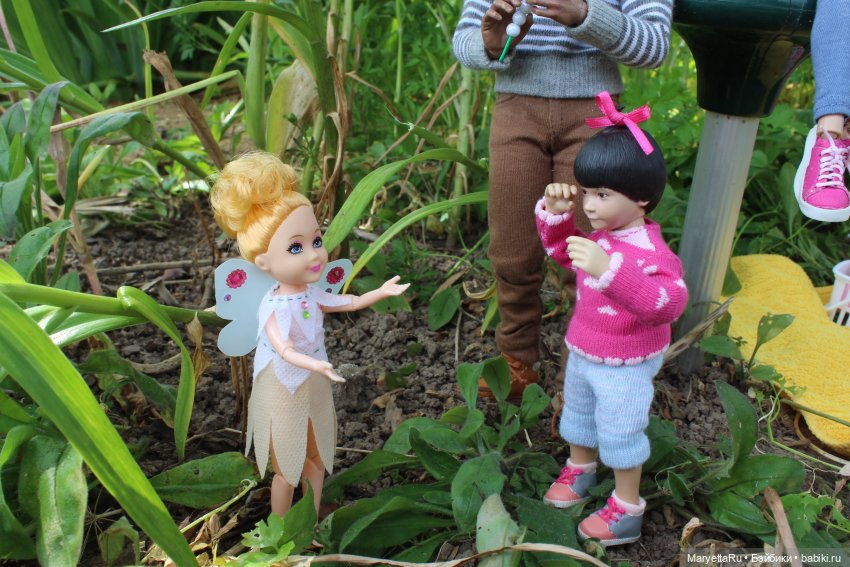 Брюс и феи. Прибавление в семействе