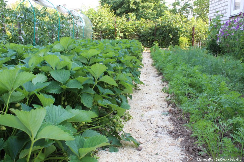 Брюс и феи. Два не пересекающихся мира