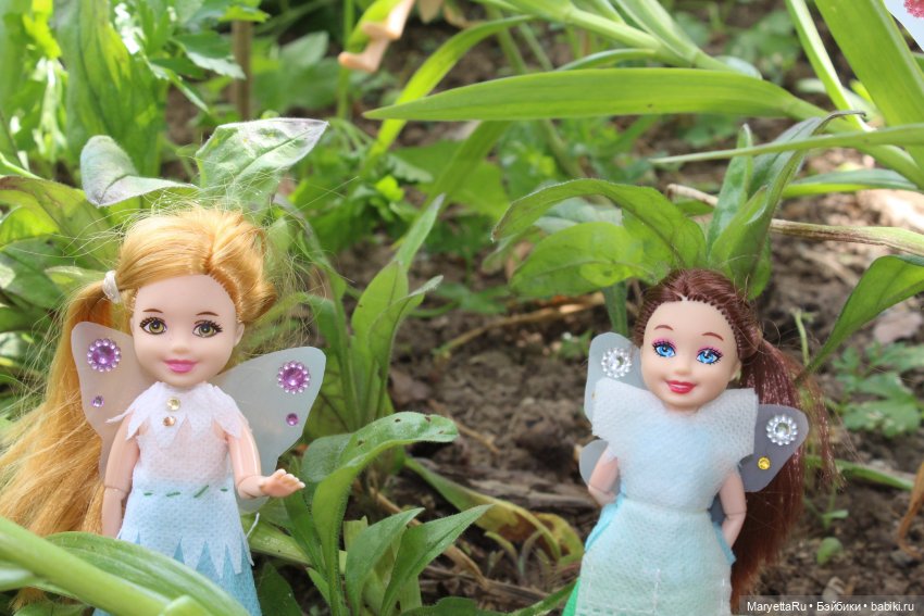 Брюс и феи. Прибавление в семействе