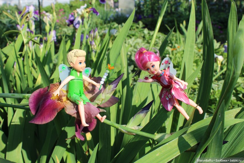 Брюс и феи. Два не пересекающихся мира (фото 7)