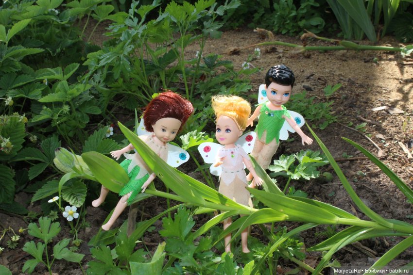 Брюс и феи. Прибавление в семействе