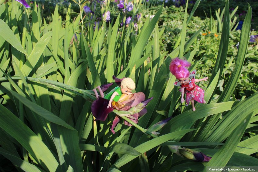 Брюс и феи. Два не пересекающихся мира