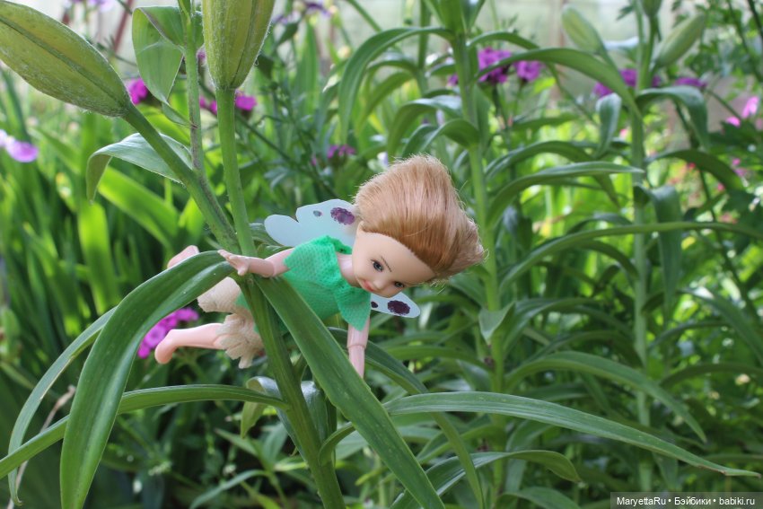 Брюс и феи. Прибавление в семействе