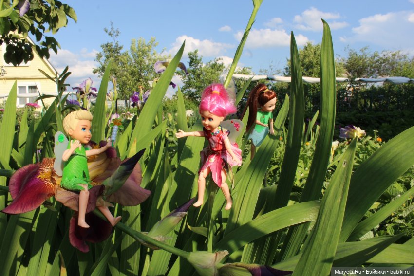 Брюс и феи. Два не пересекающихся мира (фото 8)