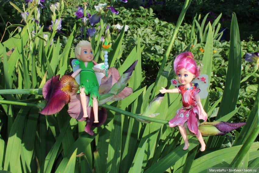 Брюс и феи. Два не пересекающихся мира (фото 6)