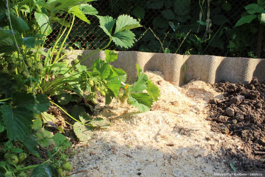 Брюс и феи. Два не пересекающихся мира