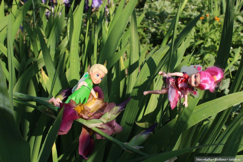 Брюс и феи. Два не пересекающихся мира