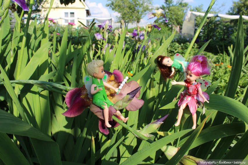 Брюс и феи. Два не пересекающихся мира (фото 10)