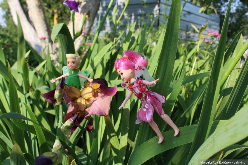 Брюс и феи. Два не пересекающихся мира