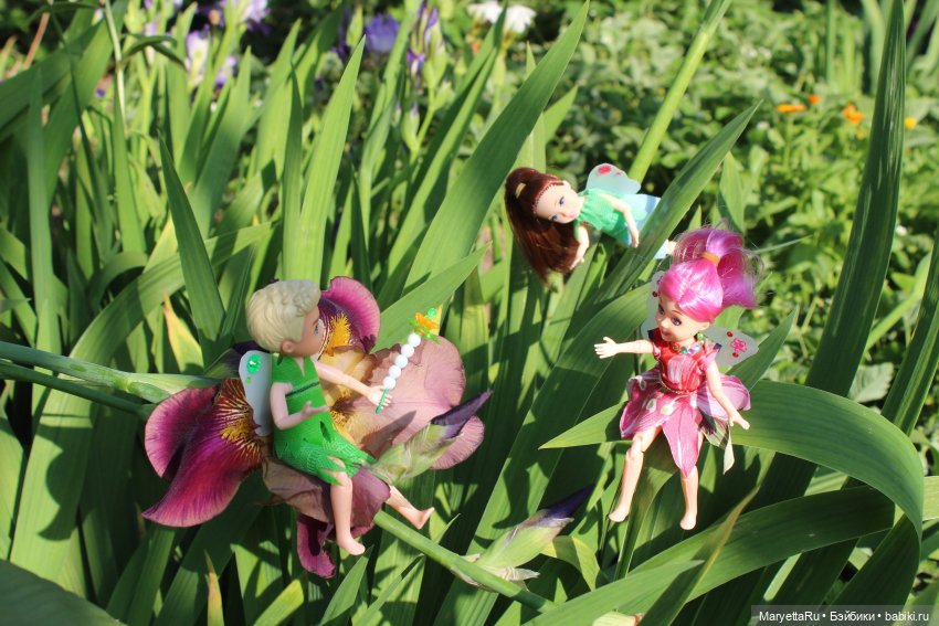 Брюс и феи. Два не пересекающихся мира