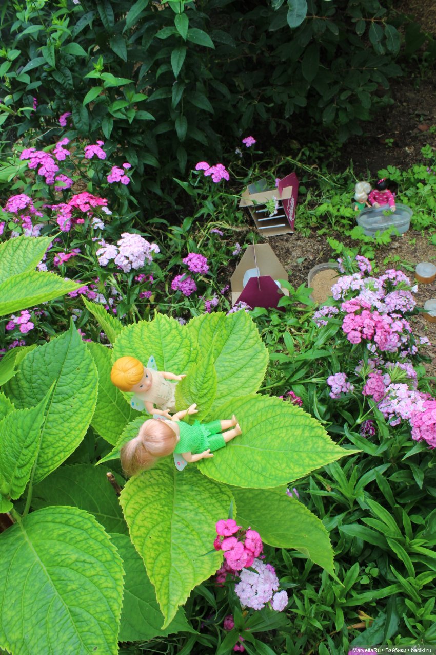 Брюс и феи. Фейская школа