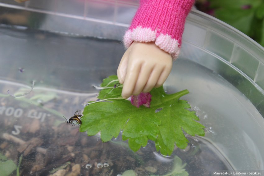 Брюс и феи. Фейская школа