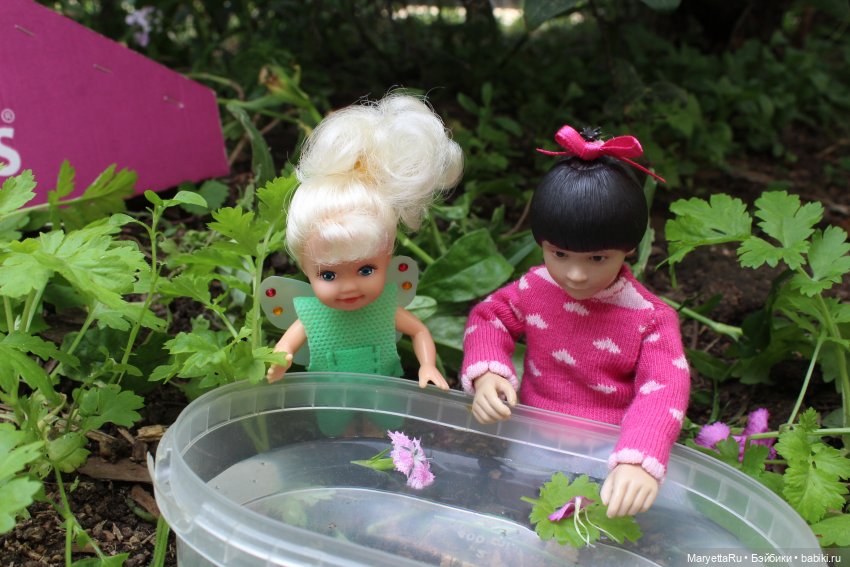 Брюс и феи. Фейская школа