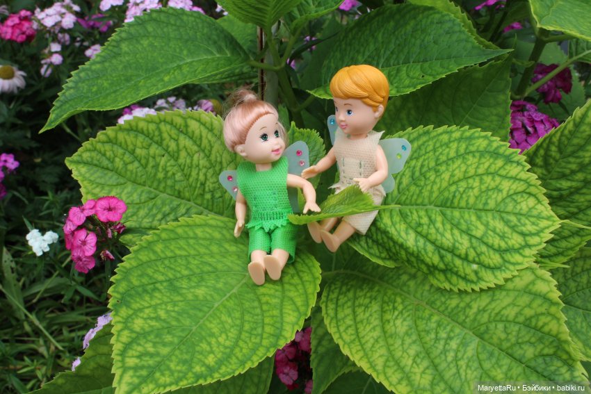 Брюс и феи. Фейская школа