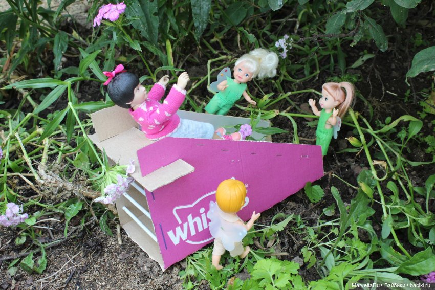 Брюс и феи. Фейская школа