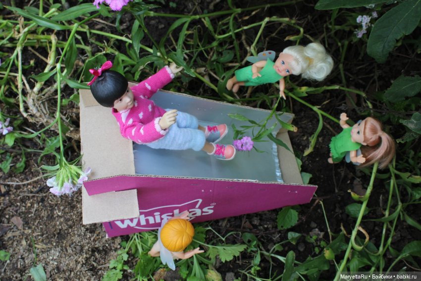 Брюс и феи. Фейская школа