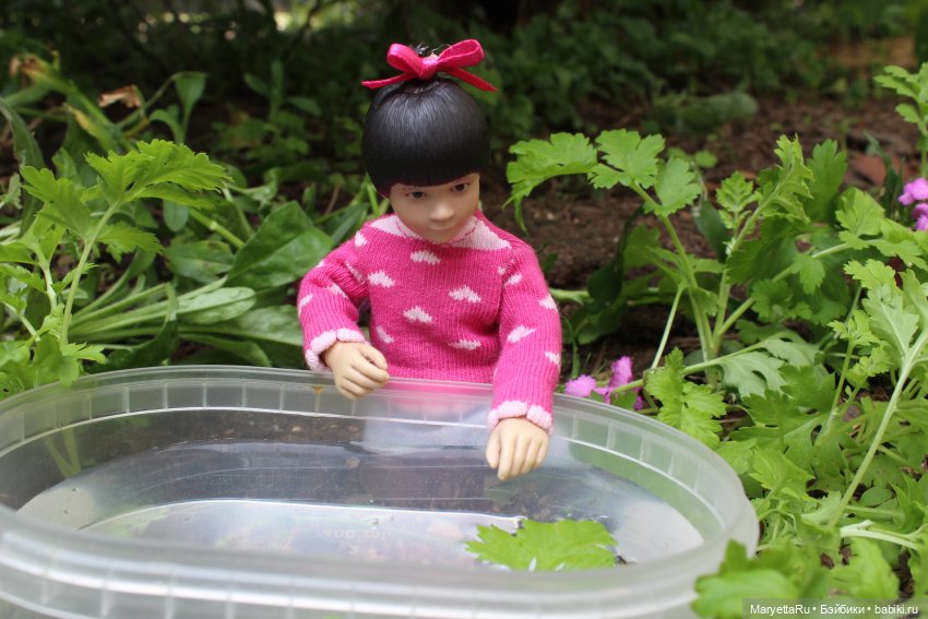 Брюс и феи. Фейская школа