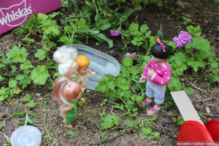 Брюс и феи. Фейская школа (фото 7)