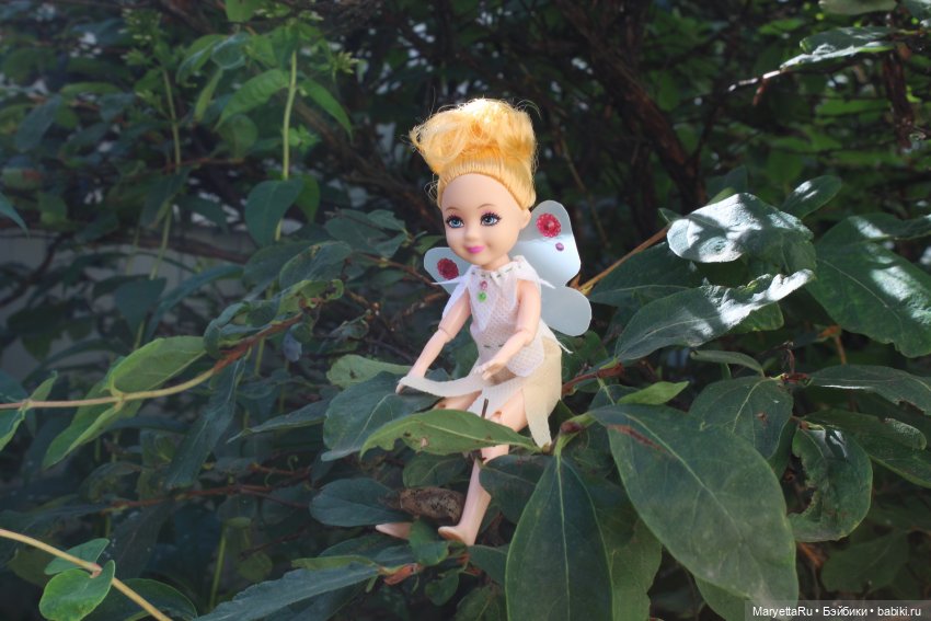 Брюс и феи. Фейская школа