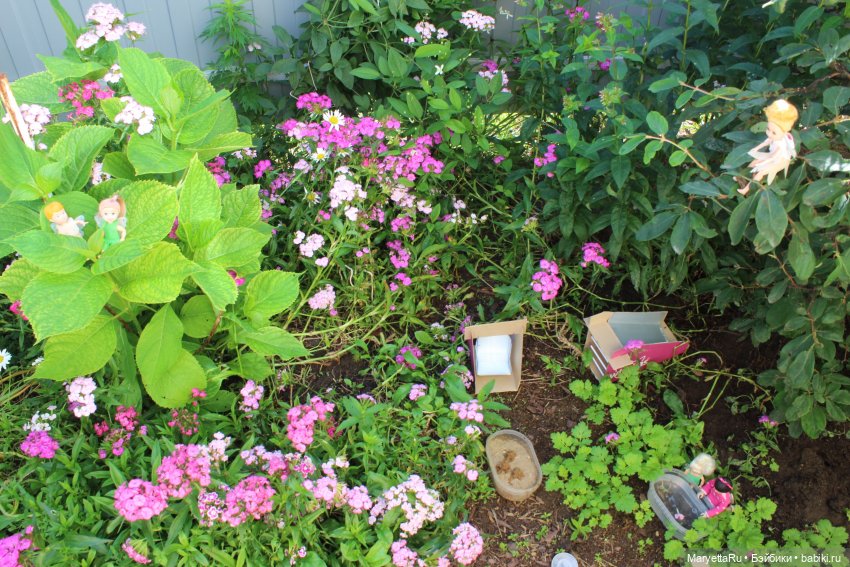 Брюс и феи. Фейская школа