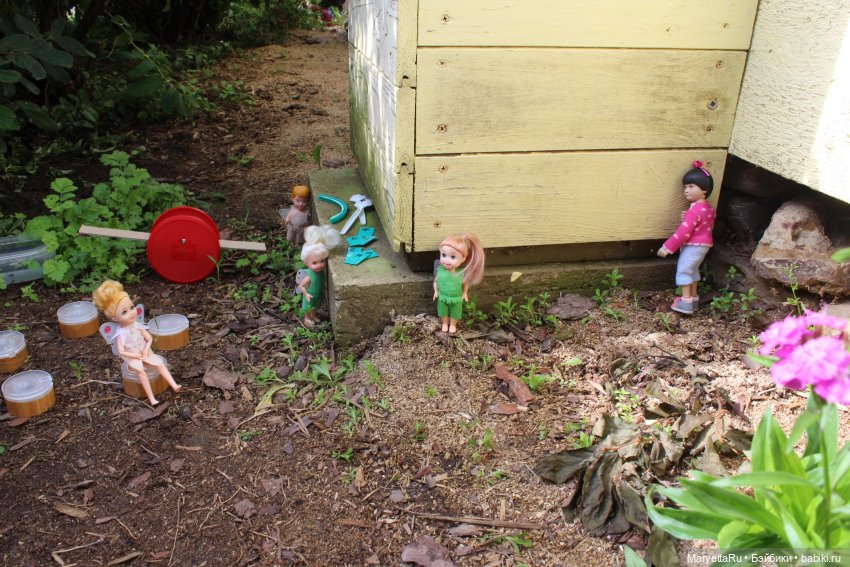 Брюс и феи. Фейская школа