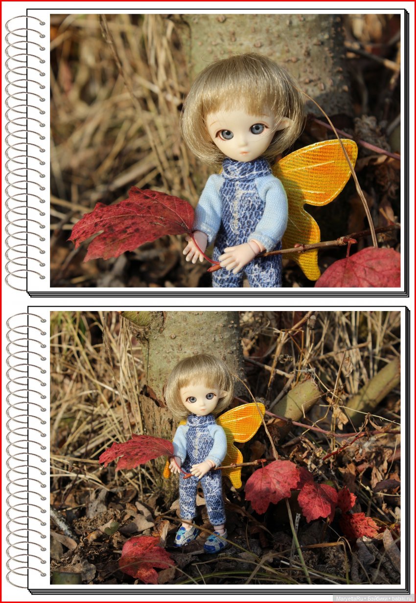 Школа лесных фей. Осенние листья