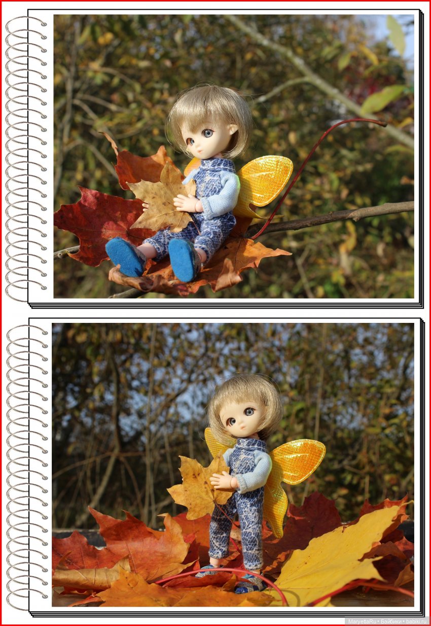 Школа лесных фей. Осенние листья