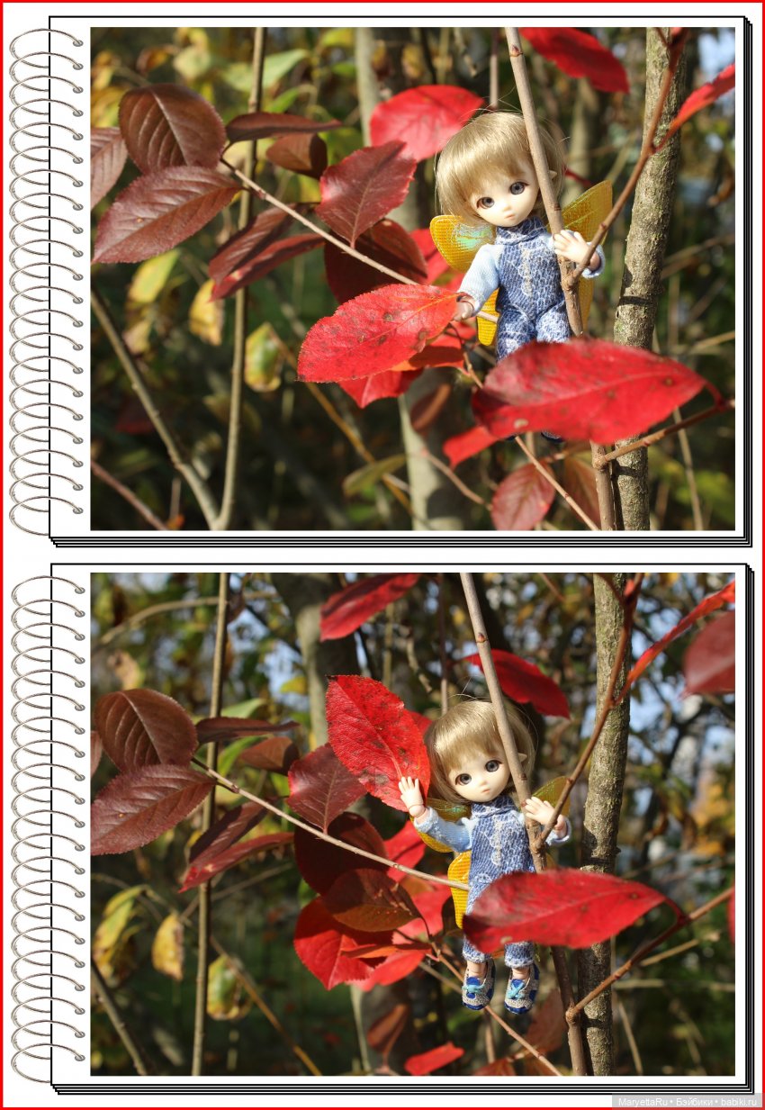 Школа лесных фей. Осенние листья (фото 8)