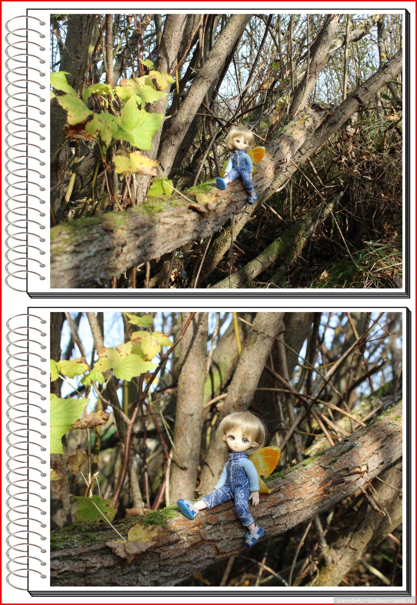 Школа лесных фей. Осенние листья (фото 5)