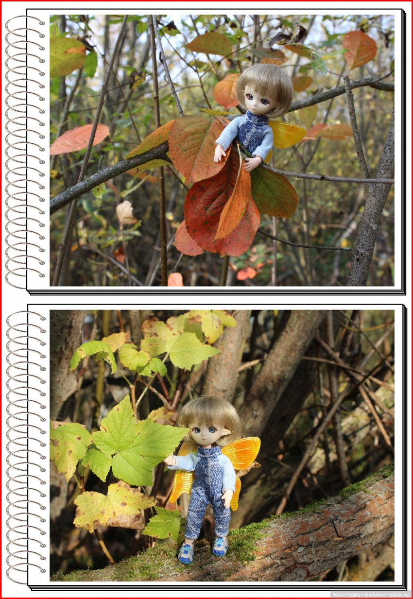 Школа лесных фей. Осенние листья (фото 4)